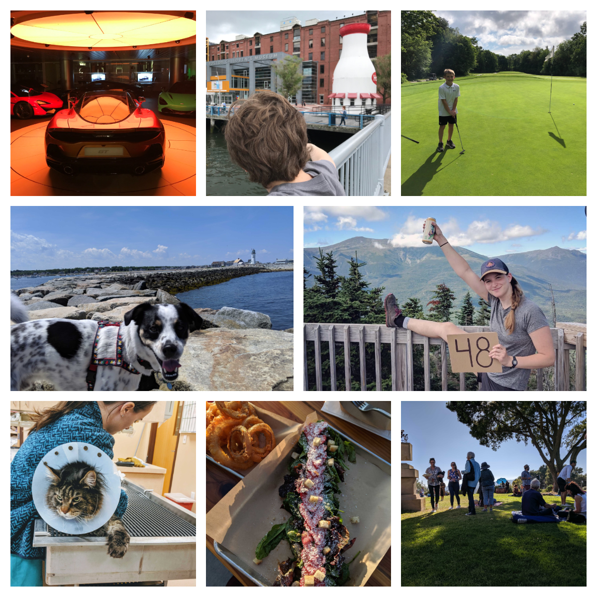 Friday FundayA collage of pictures including a fancy, red sports car, a boy golfing, a dog on a rocky shore, a cat with a cone on.