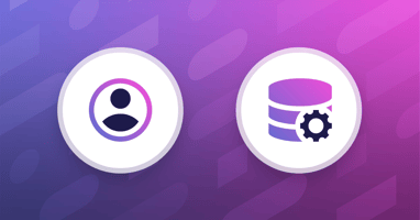 Optimizing Software Testing with Customer Data Platforms