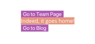 The words Go to Team Page on a purple background, Indeed it goes home on orange, and Go to Blog on purple.