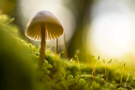 How to scale up QA in a DevOps environment