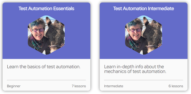 2 class options, on titled Learn the basics of test automation, and Learn in depth info about the mechanics of test automation.