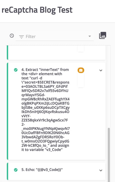 A screenshot showing how to set up an echo step while training the test that returns the curl command for that specific test.