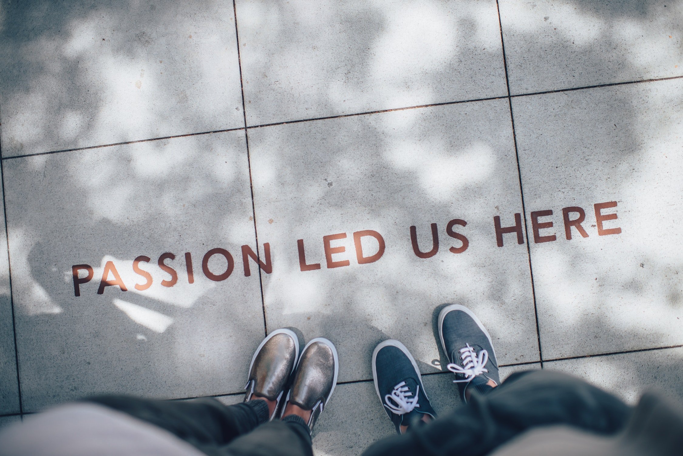 What personality types do you see in a successful tech startup?